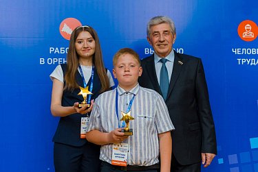 Золотая звезда за победу